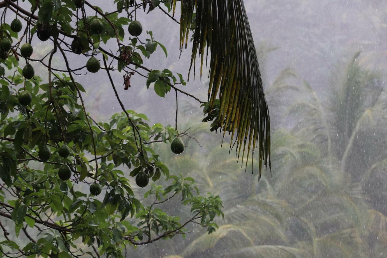 Hill Country Villa Kandy Buitenkant foto